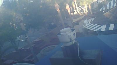 Salty Dog Cafe Landscape View