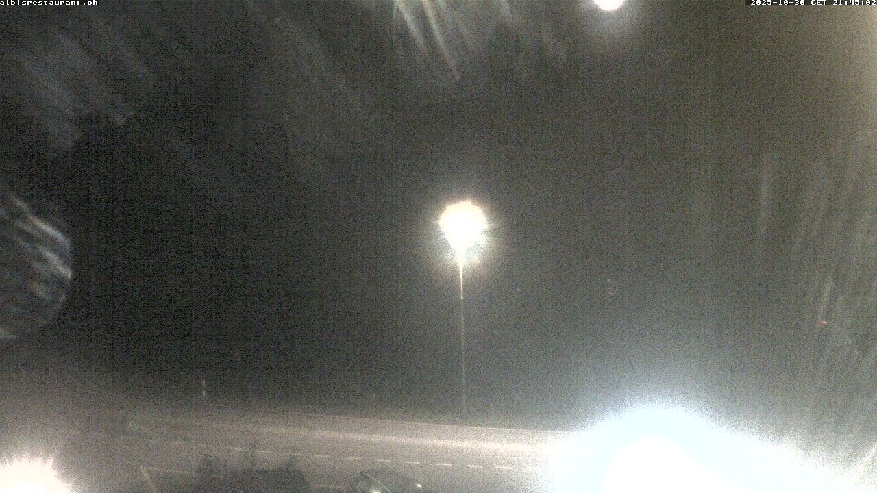 Langnau am Albis › Süd: Albispass