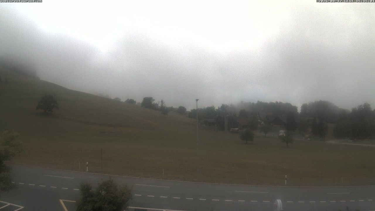 Langnau am Albis › Süden: Albis Pass - Schlittenhang mit Verpflegungsmöglichkeit - Albisstrasse