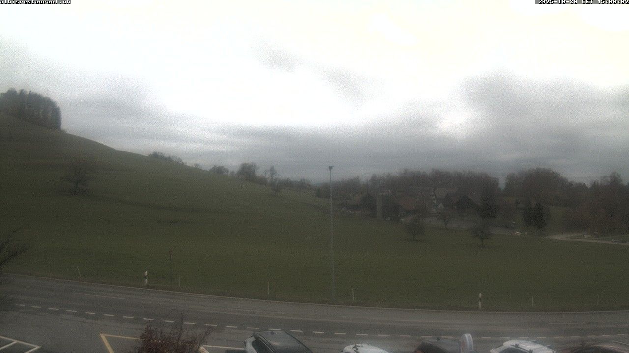 Langnau am Albis › Süd: Albispass