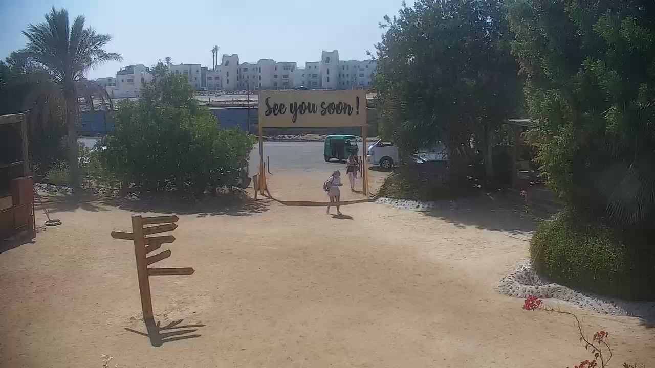 cam الجونة Kiteboarding Club El Gouna Wetterdienst.de