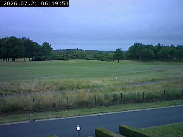 Kildare during daytime
