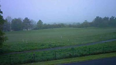 Daylight webcam view from Killenard › South West: The Heritage Golf Resort