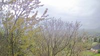 Esztergom: Szamárhegy
