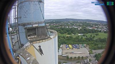 Auf Dem Gellenkamp weather webcam