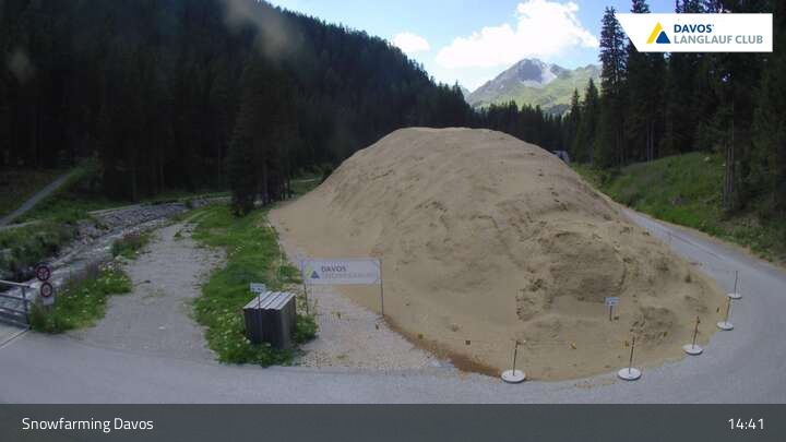 Davos: I - Snowfarming