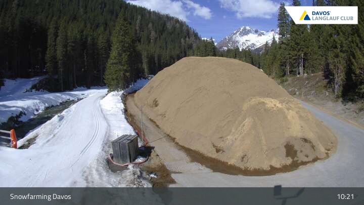 Davos: I - Snowfarming