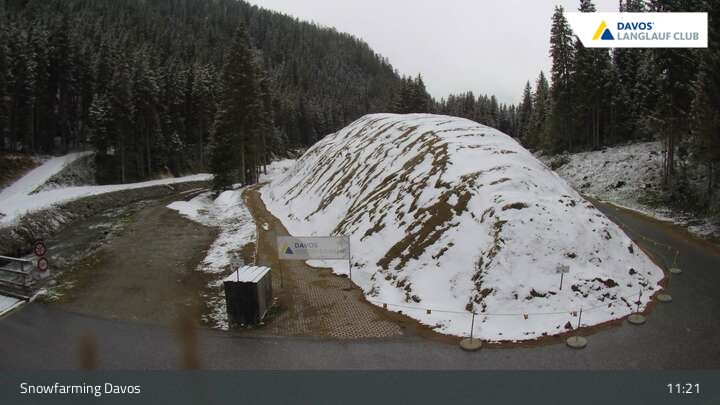 Davos: I - Snowfarming