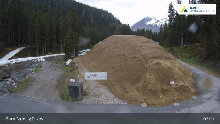 Davos: I - Snowfarming