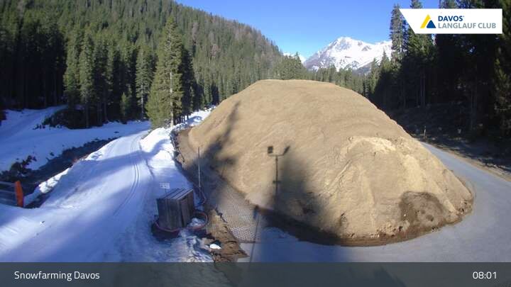 Davos: I - Snowfarming