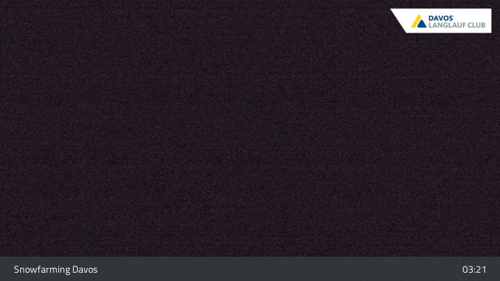 Davos: I - Snowfarming