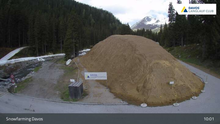 Davos: I - Snowfarming