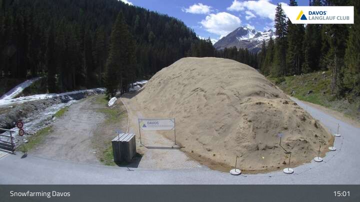 Davos: I - Snowfarming