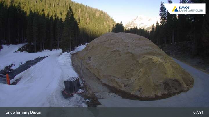 Davos: I - Snowfarming