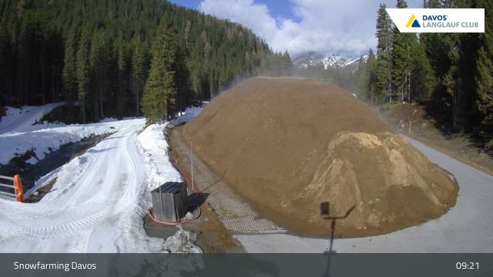 Davos: I - Snowfarming