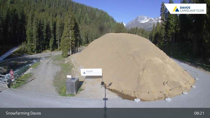 Davos: I - Snowfarming