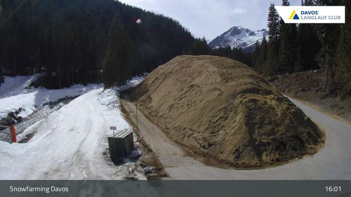 Davos: I - Snowfarming