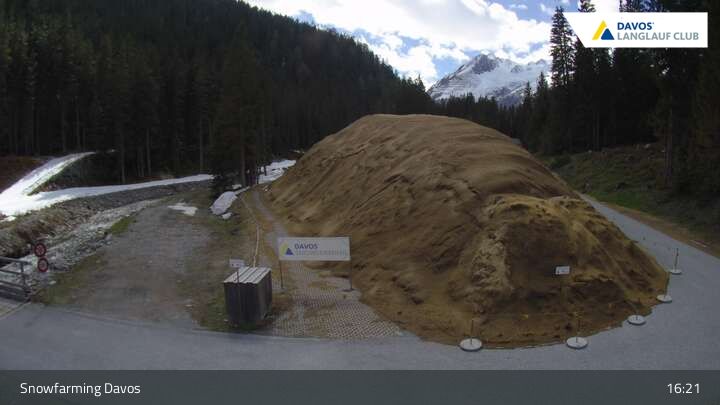 Davos: I - Snowfarming