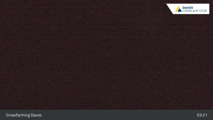 Davos: I - Snowfarming