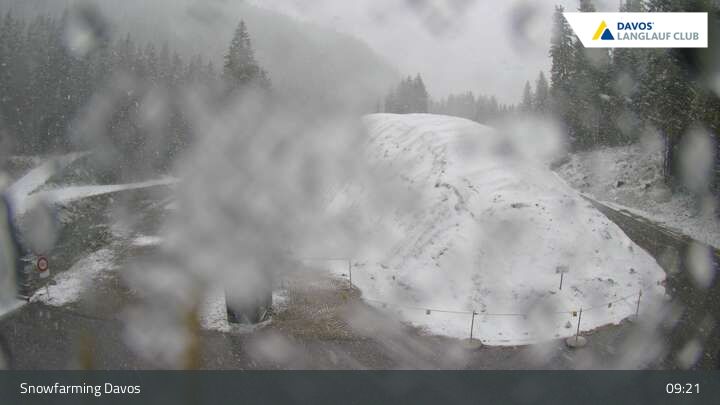Davos: I - Snowfarming