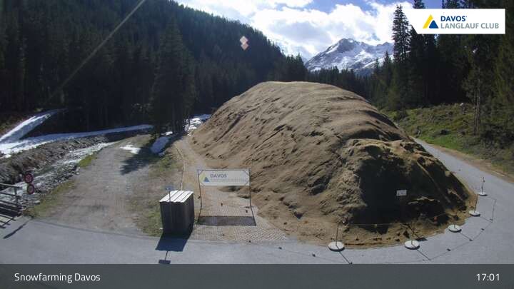 Davos: I - Snowfarming