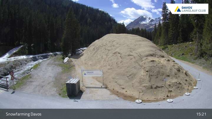 Davos: I - Snowfarming