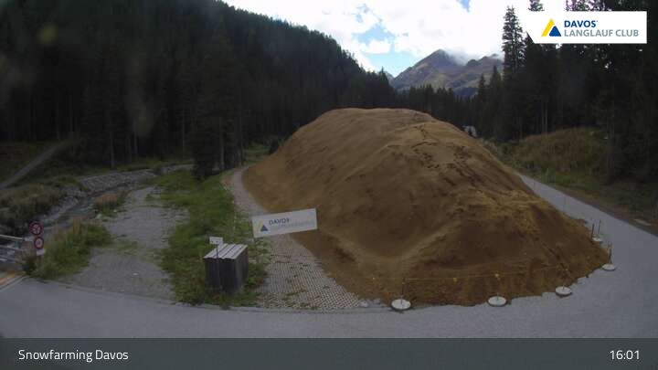 Davos: I - Snowfarming