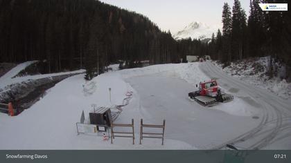 Davos: I - Snowfarming