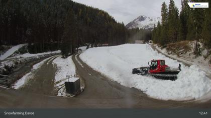 Davos: I - Snowfarming