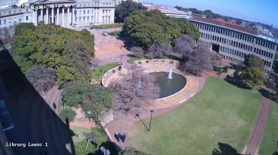 Benoni today