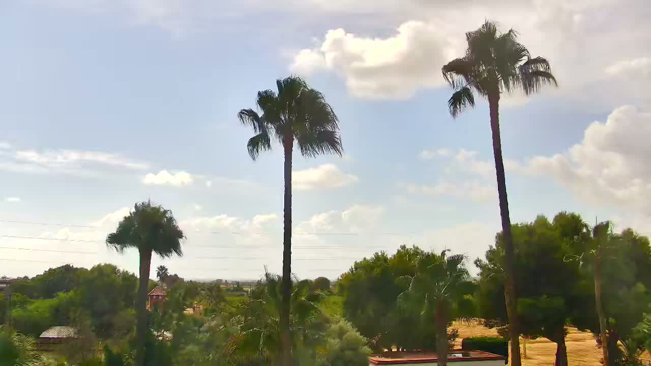 Elche webcam