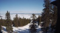 Lieksa: Koli, National Park