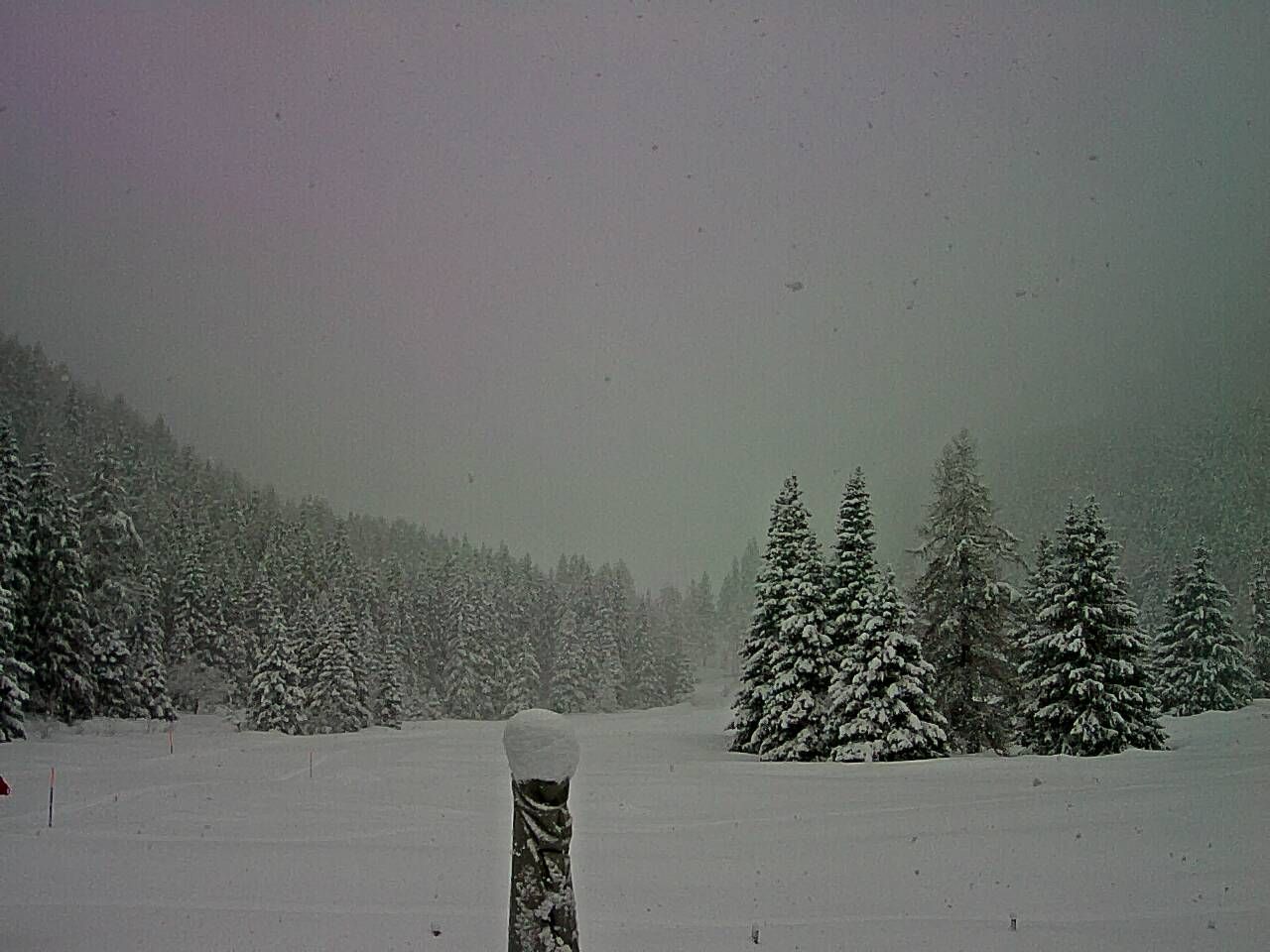 Champex-Lac: Val d'Arpette