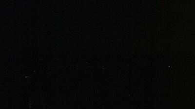 Bad Alexandersbad forest webcam