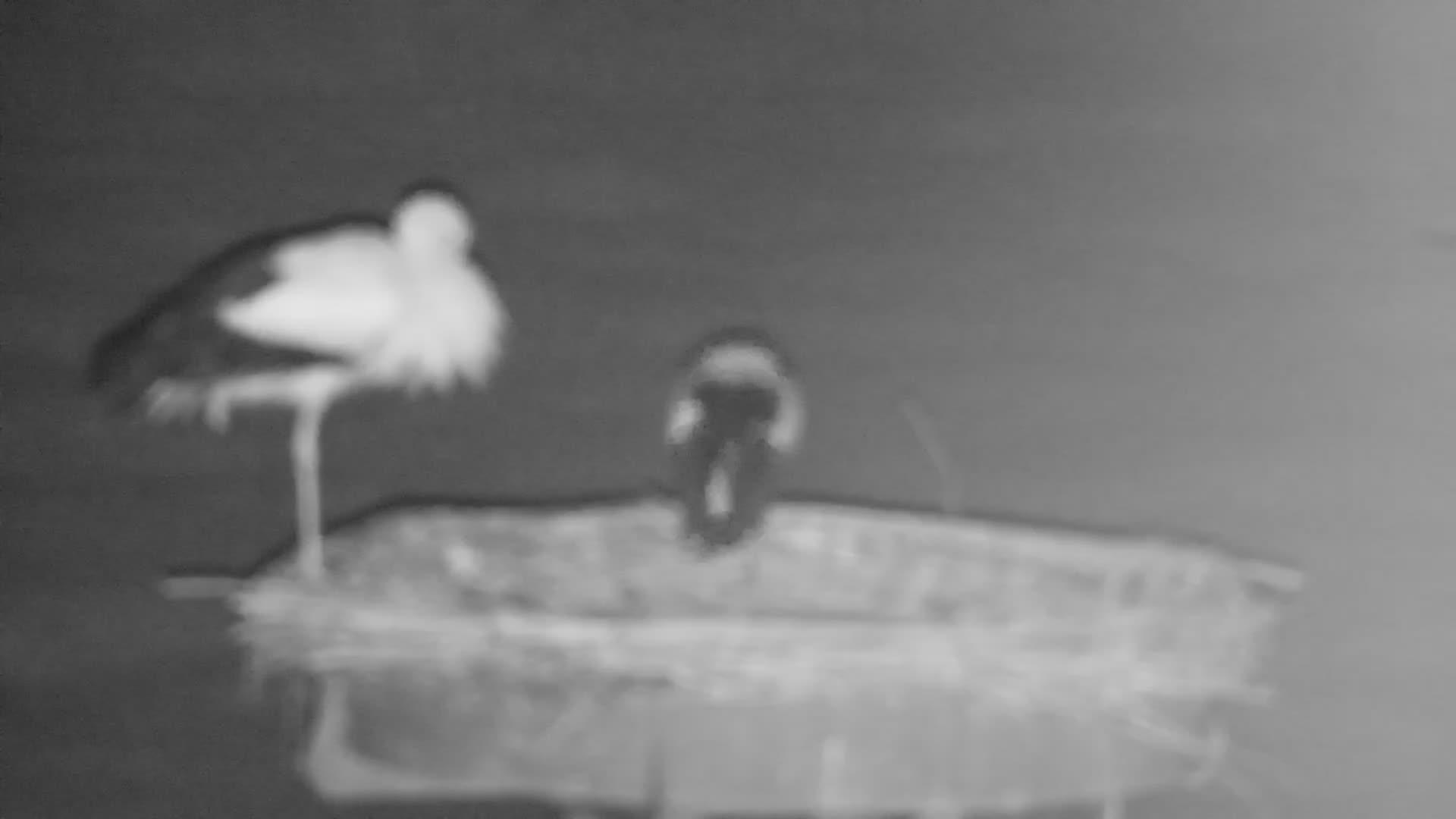 Loher Ostmark landscape Webcam