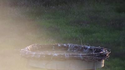Barsselermoor landscape webcam