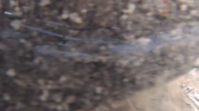 Imagen de webcam diurna Rochester