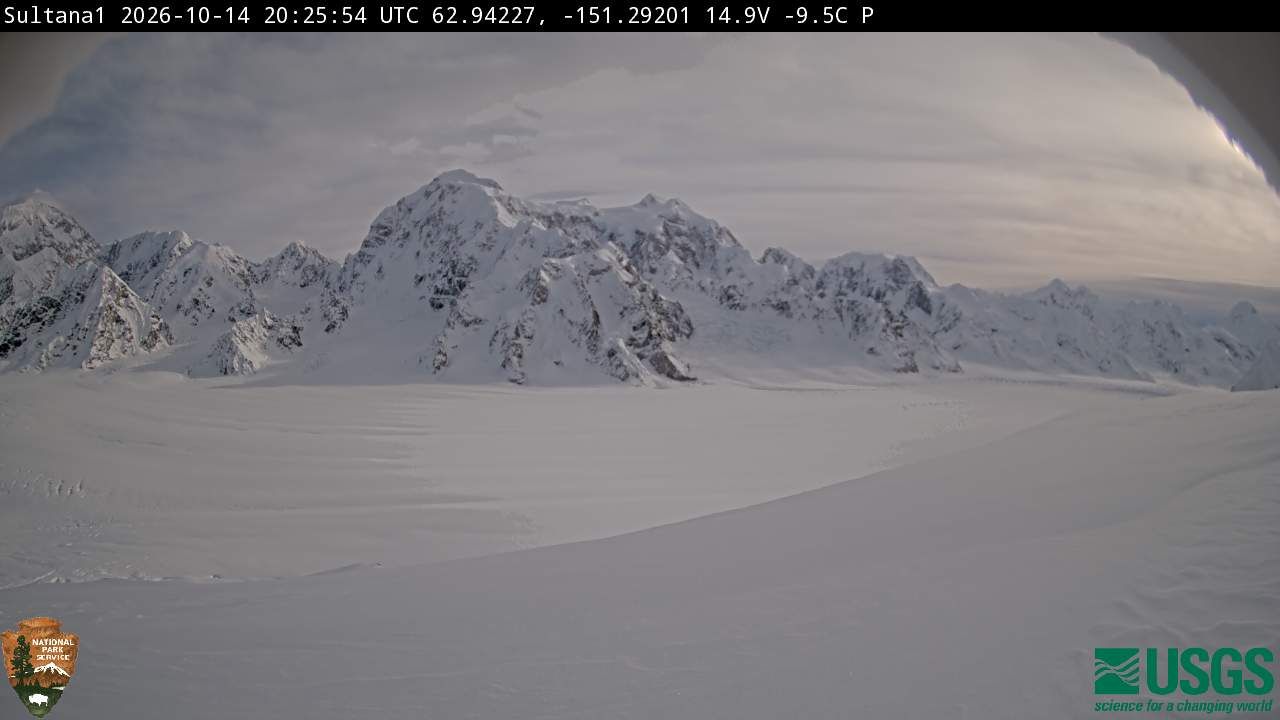 Denali webcam