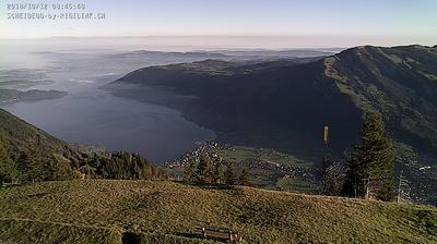 Gersau › Ost: Rigi Scheidegg