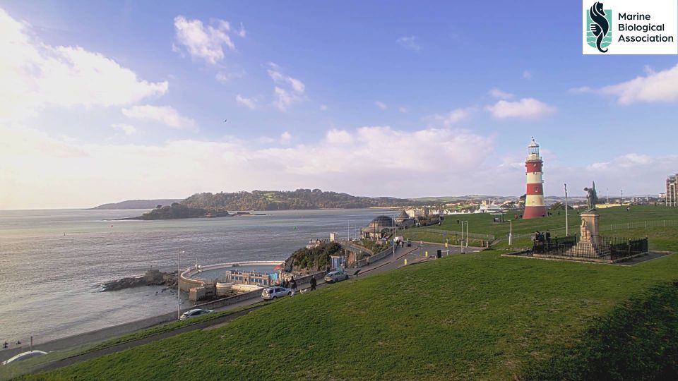 Plymouth webcam
