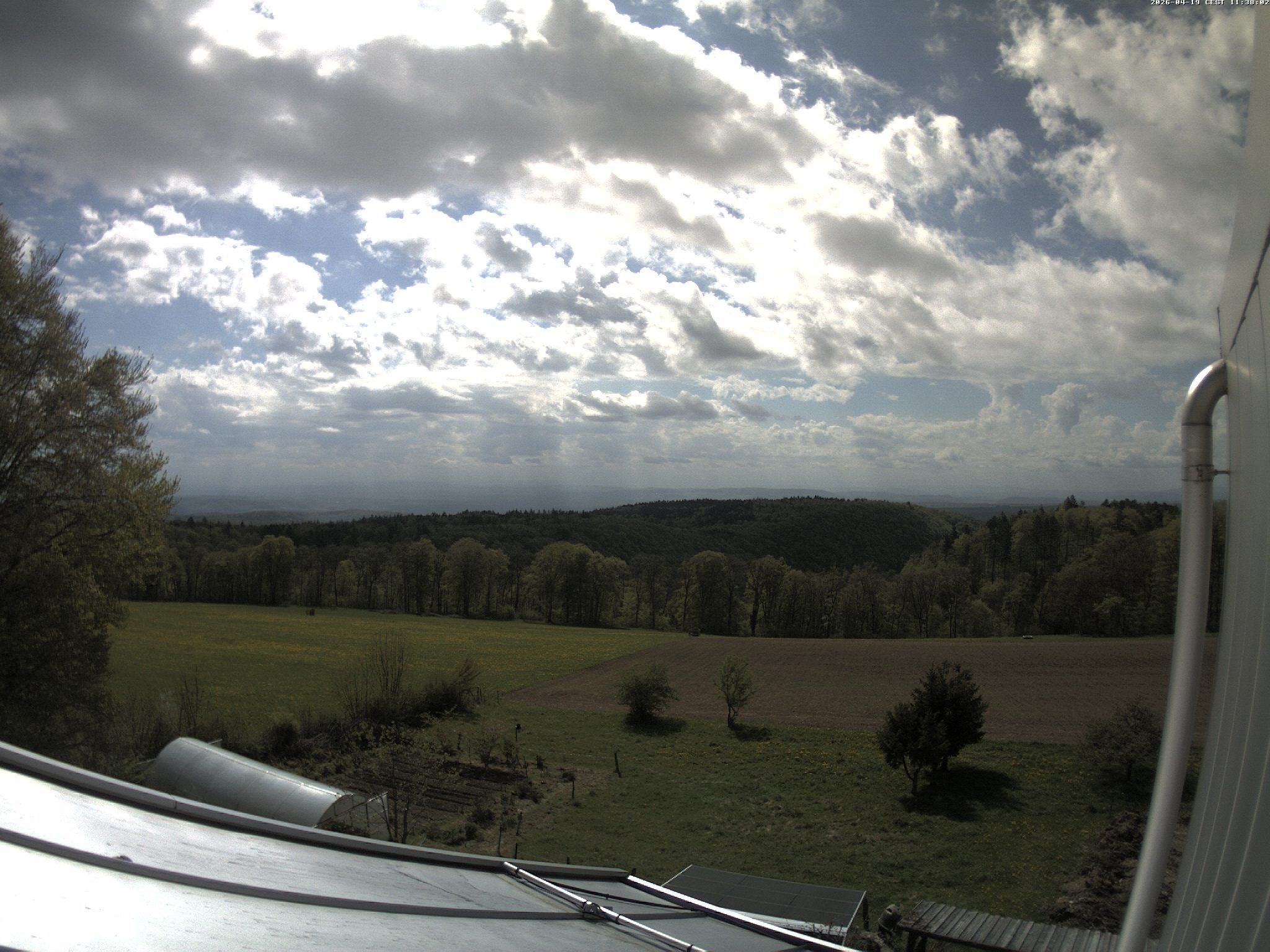 Siblingen: Siblinger Randen