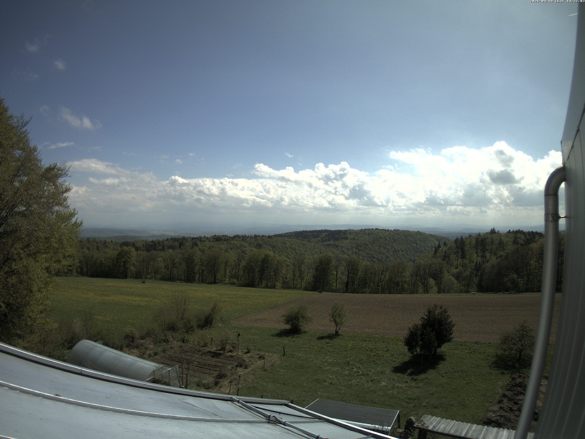 Siblingen: Siblinger Randen