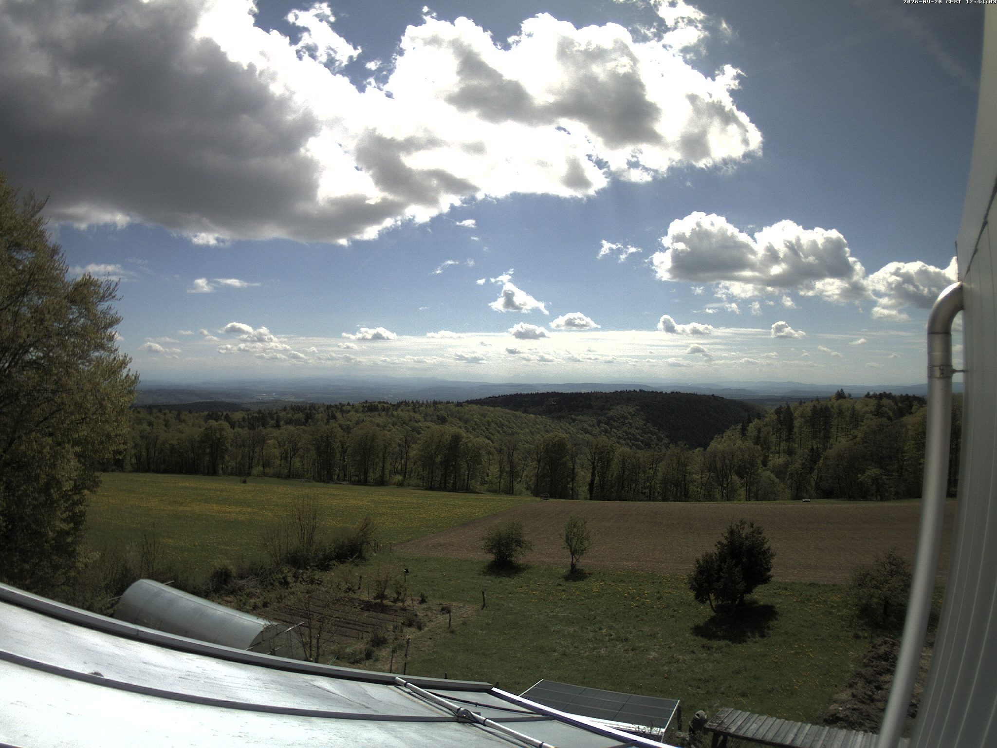 Siblingen: Siblinger Randen