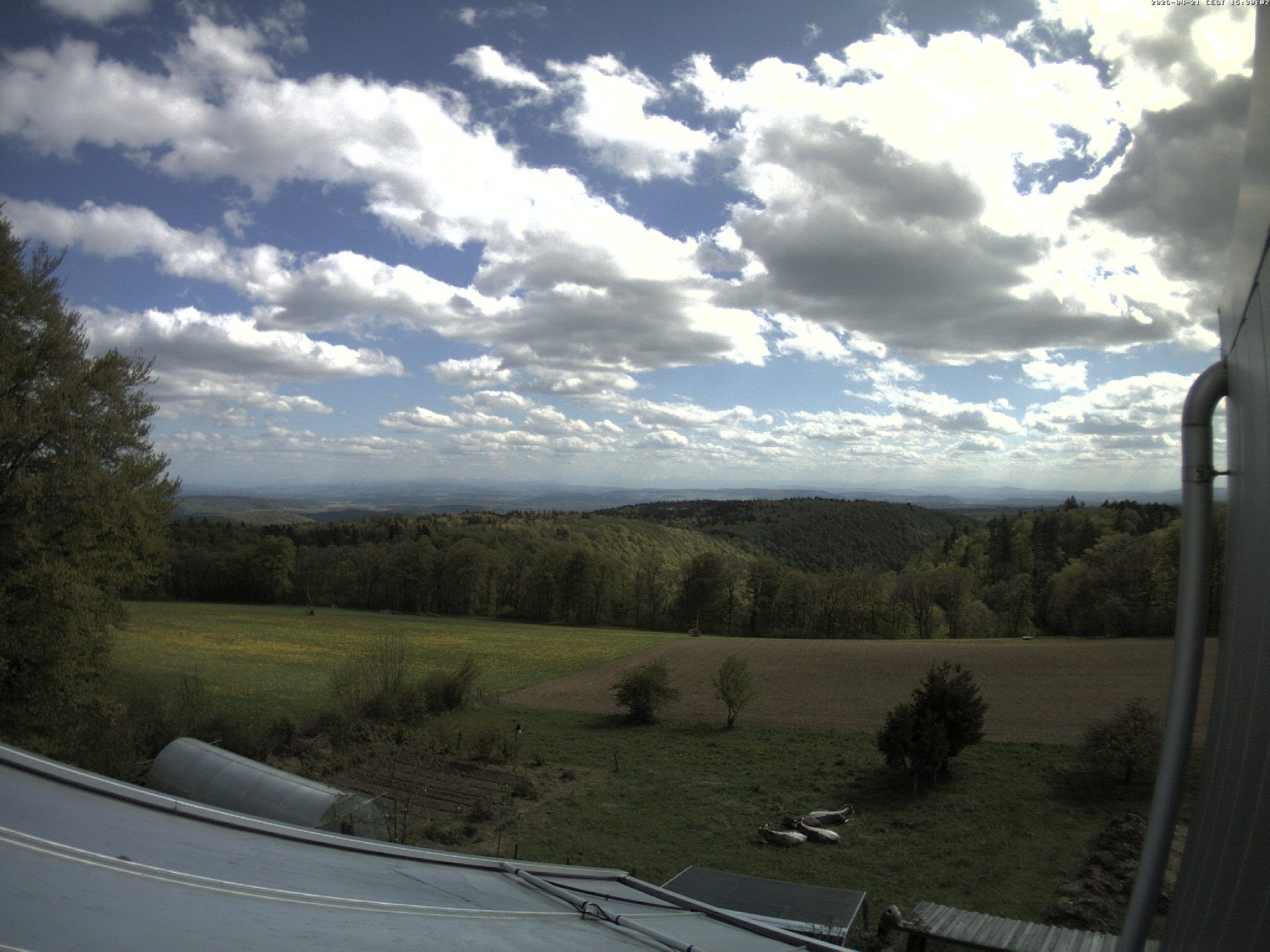 Siblingen: Siblinger Randen