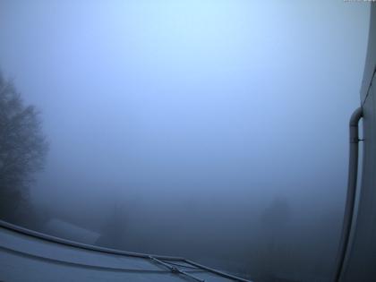 Siblingen: Siblinger Randen