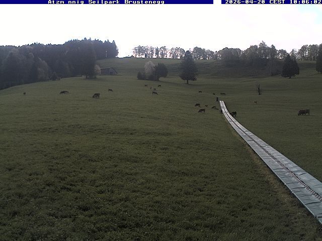 Eschenbach: Atzmännig Seilpark/Brustenegg