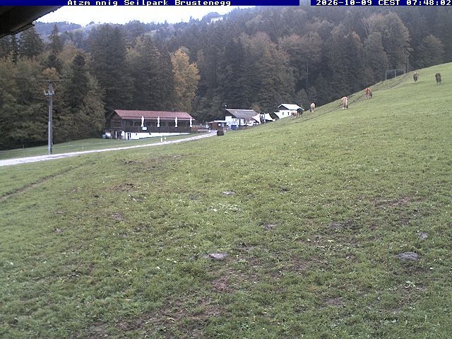 Eschenbach: Atzmännig Seilpark/Brustenegg