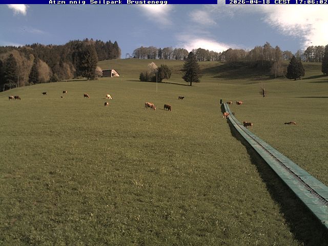 Eschenbach: Atzmännig Seilpark/Brustenegg