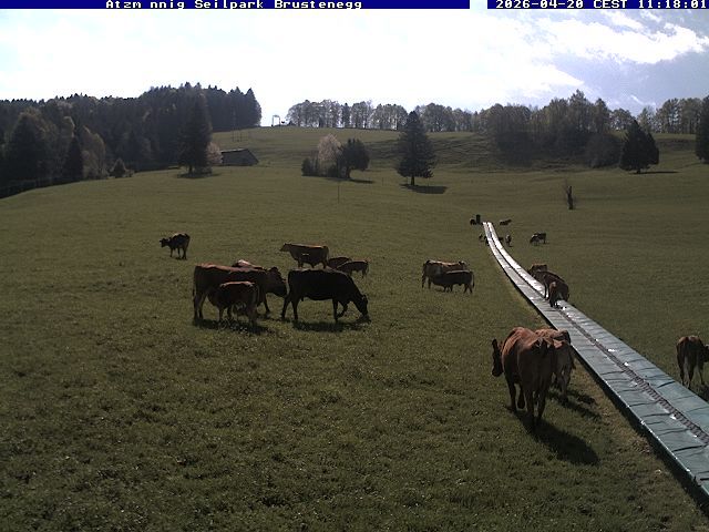 Eschenbach: Atzmännig Seilpark/Brustenegg