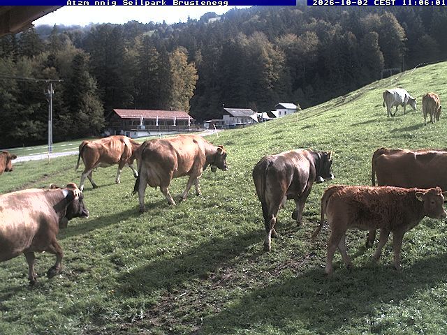 Eschenbach: Atzmännig Seilpark/Brustenegg